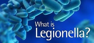 What is Legionella